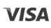 Visa Logo